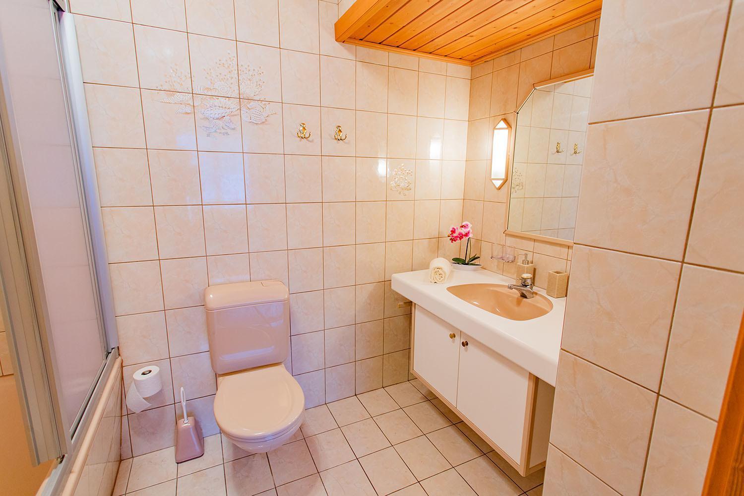 Bergidyll 3 By Alpenidyll Apartments Ramsau am Dachstein Ngoại thất bức ảnh